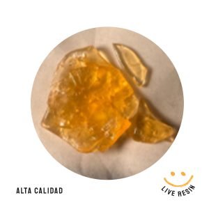 Live Resin Mimosa